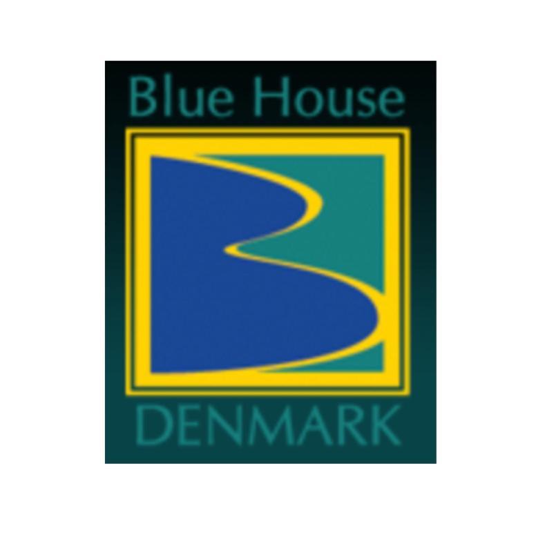 Blue House Denmark Villa Bagian luar foto